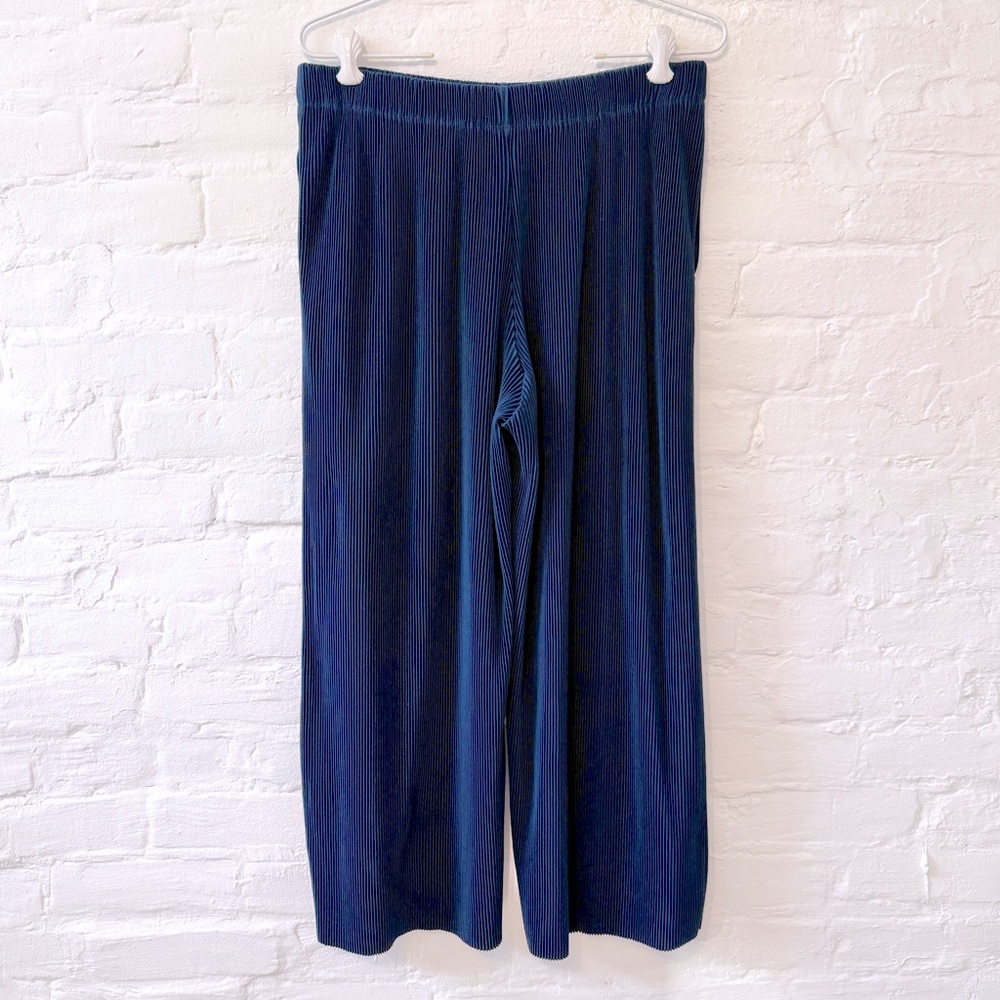 Navy Blue Pleated Pants